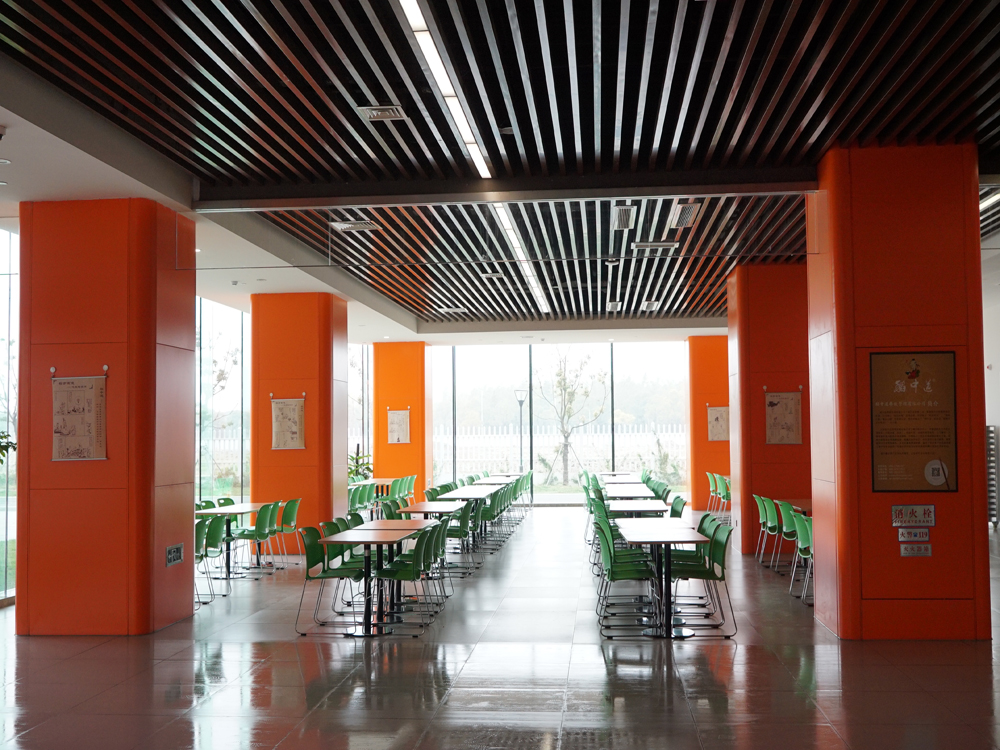 ����԰���������